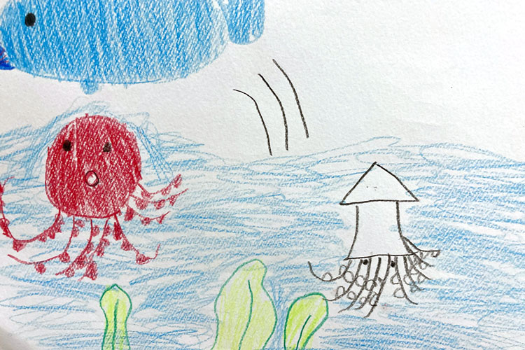 生徒の作品（調べて発表）「海の生き物」